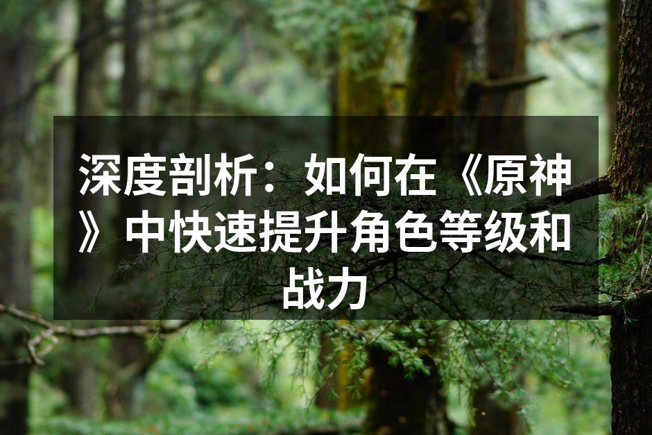 深度剖析：如何在《原神》中快速提升角色等级和战力